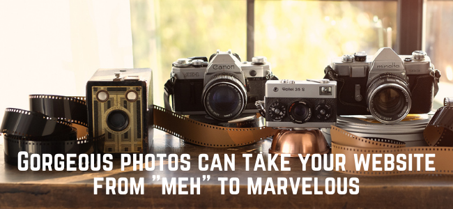Classic and vintage cameras and film to illustrate the importance of photography for web design